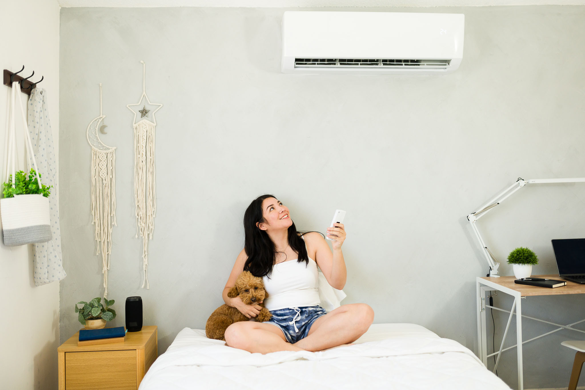 Featured image for “Mini-Splits vs. Central Air: Which System is Right for Your Home?”